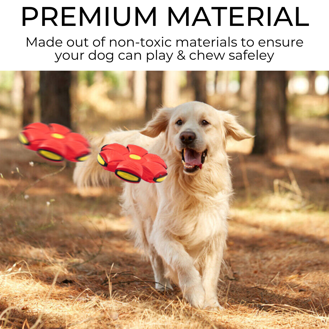 Benson Barks ™ Dog Frisbee