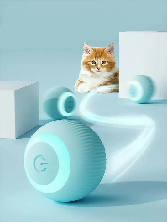 Benson Barks ™ Interactive Ball